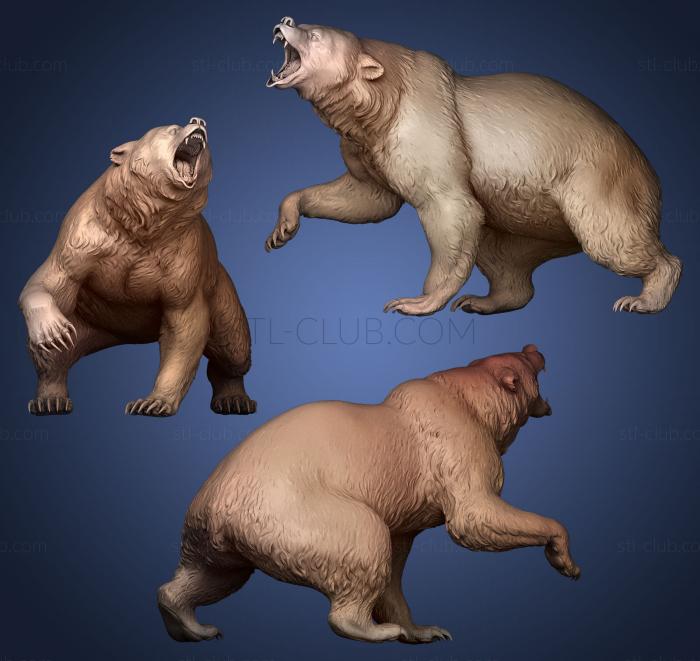 3D мадэль Кричащий медведь (STL)